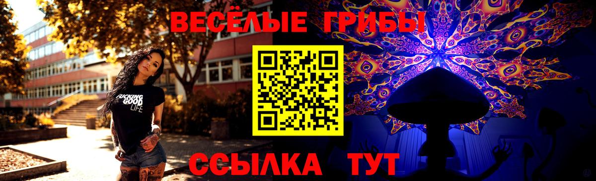 Галлюциногенные грибы Psilocybe Рязань