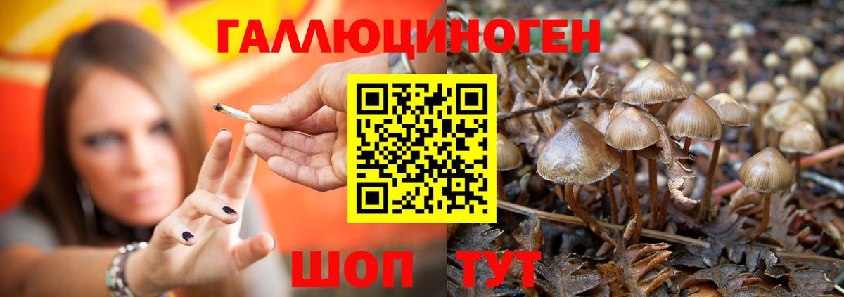 Галлюциногенные грибы GOLDEN TEACHER  Вход с VPN  Рязань 